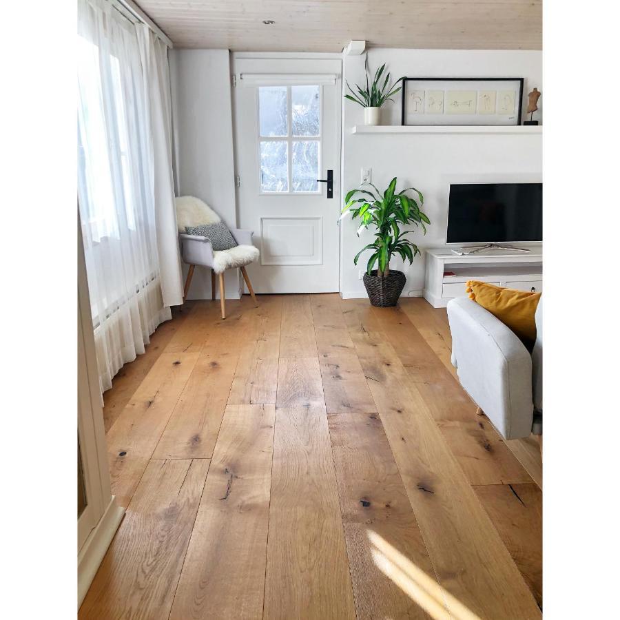 Cozy & Warm Apartment In Oberaegeri 外观 照片